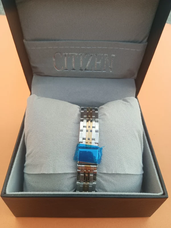 Two-Tone Stainless Steel Watch