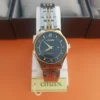 Two-Tone Stainless Steel Watch with Black Dial